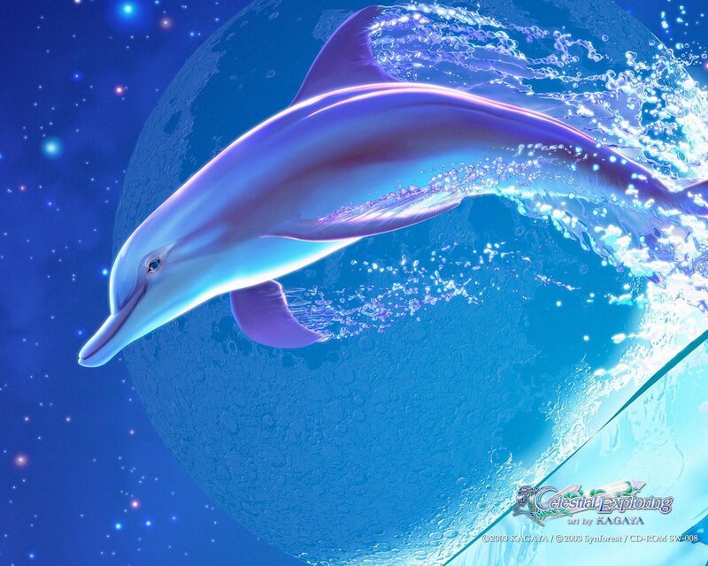 Dolphin in space