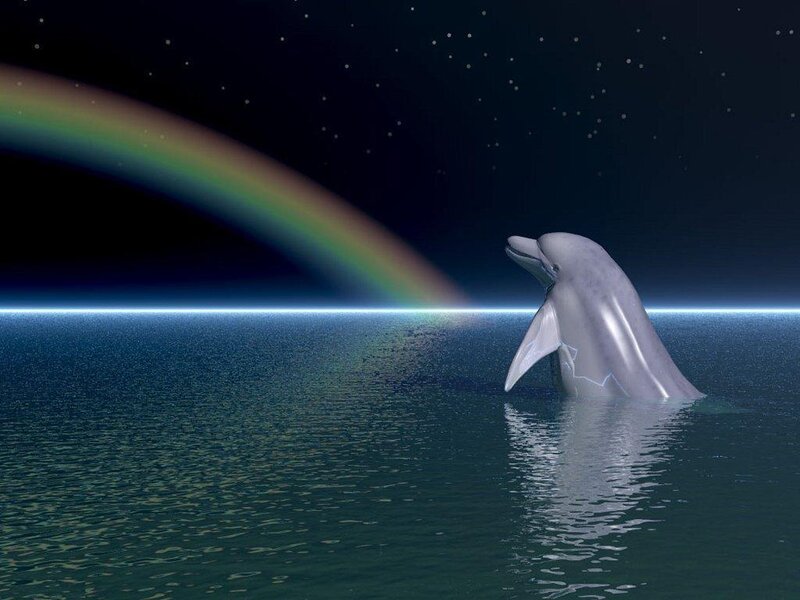 Dolphin in Water — Blue, Serene, Night, 3d Render