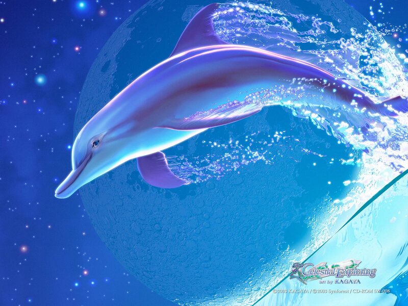 Dolphin in Water — Blue, Serene