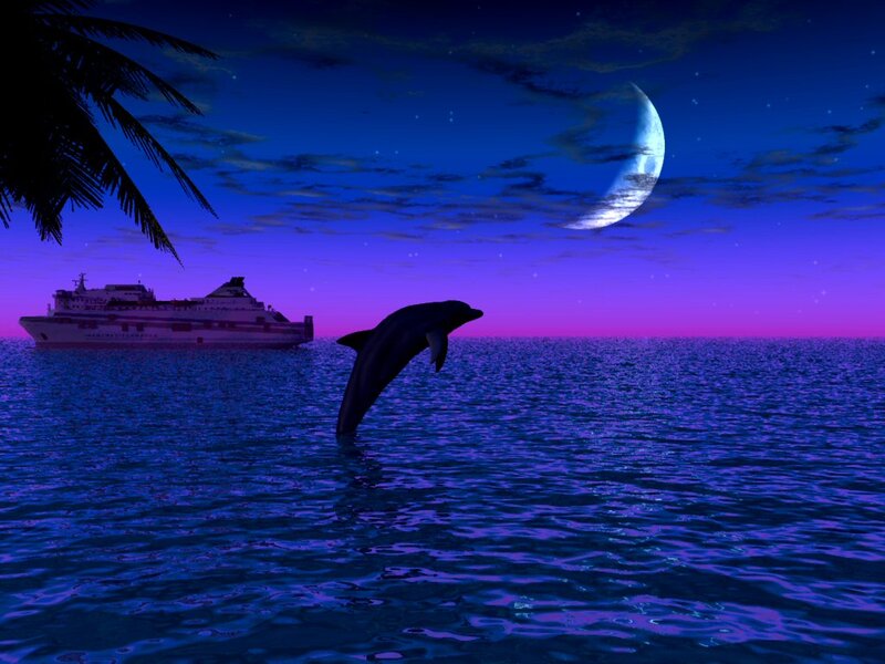 Dolphin Jumping at Night — Blue, Serene, 3d Render