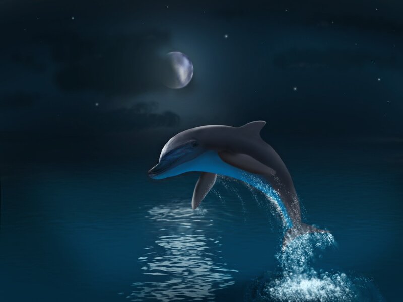 Dolphin Jumping at Night — Blue, Serene, Digital Art, Moon