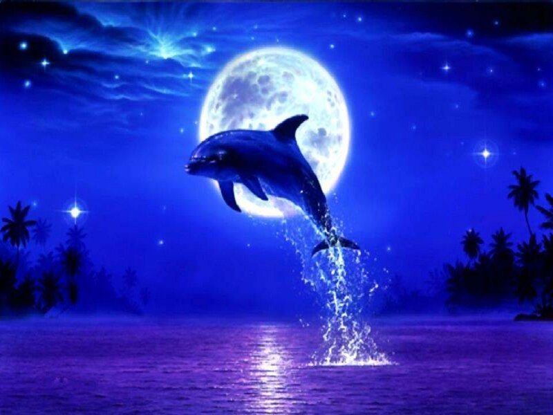 Dolphin Jumping at Night — Blue, Serene, Digital Art