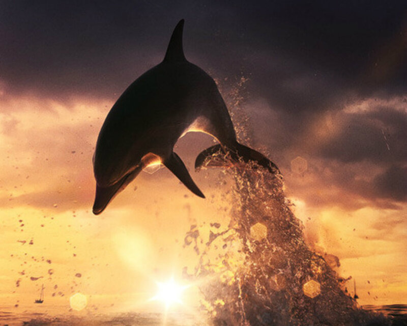 Dolphin Jumping at Sunset — Orange, Dramatic, Photograph