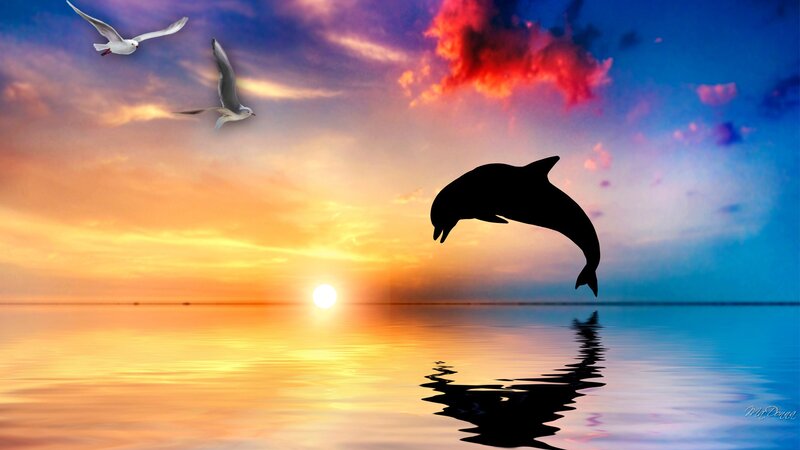 Dolphin Jumping at Sunset — Orange, Serene
