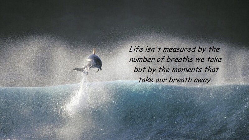 Dolphin Jumping — Blue, Dramatic