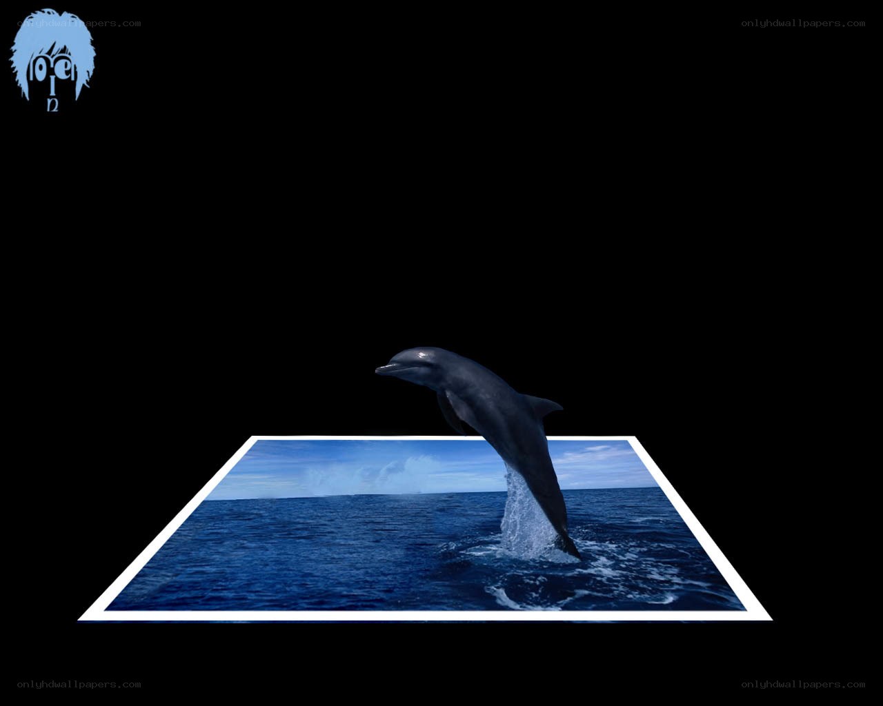 dolphin jumping from ocean