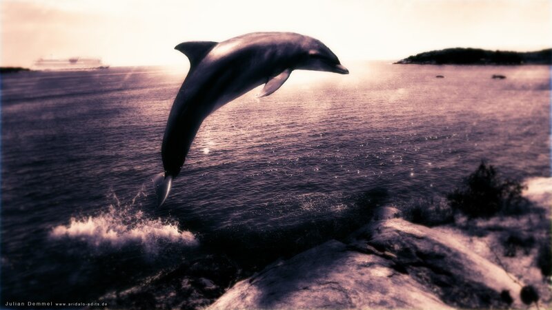 Dolphin Jumping from Water — Purple