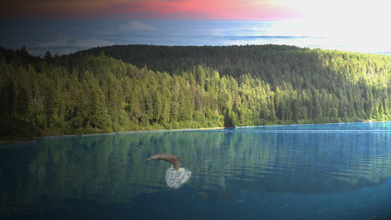 Dolphin Jumping in Lake