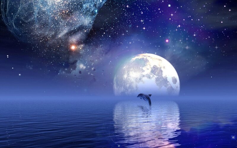 Dolphin Jumping in Ocean — Blue, Serene, Night, Digital Art
