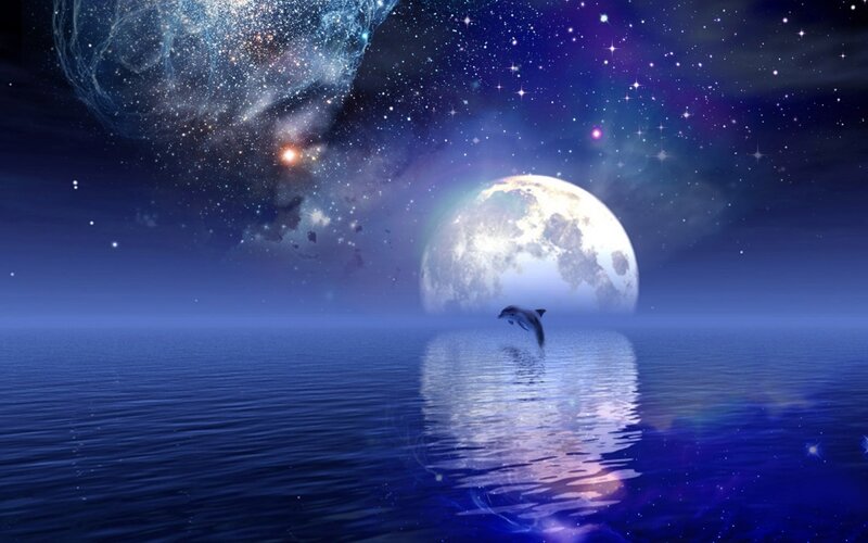 Dolphin Jumping in Ocean — Blue, Serene, Night