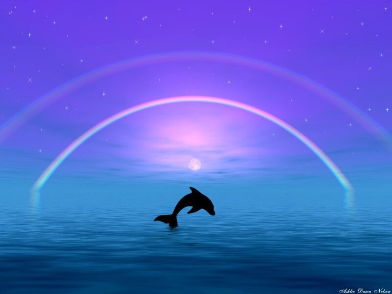 Dolphin Jumping in Ocean — Blue, Serene
