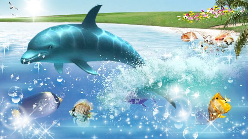 Dolphin Jumping in Ocean — Blue