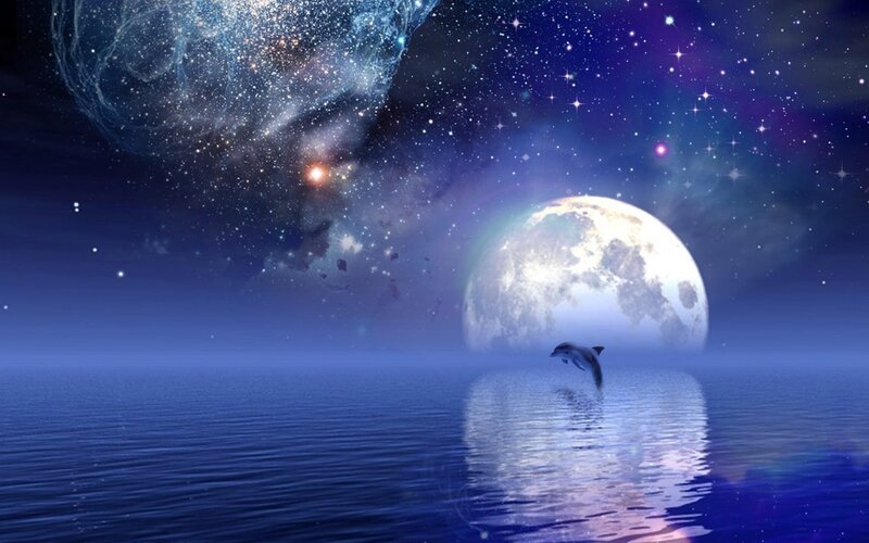 Dolphin Jumping in Water — Blue, Serene