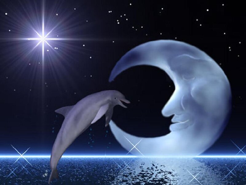 Dolphin Jumping Near Moon
