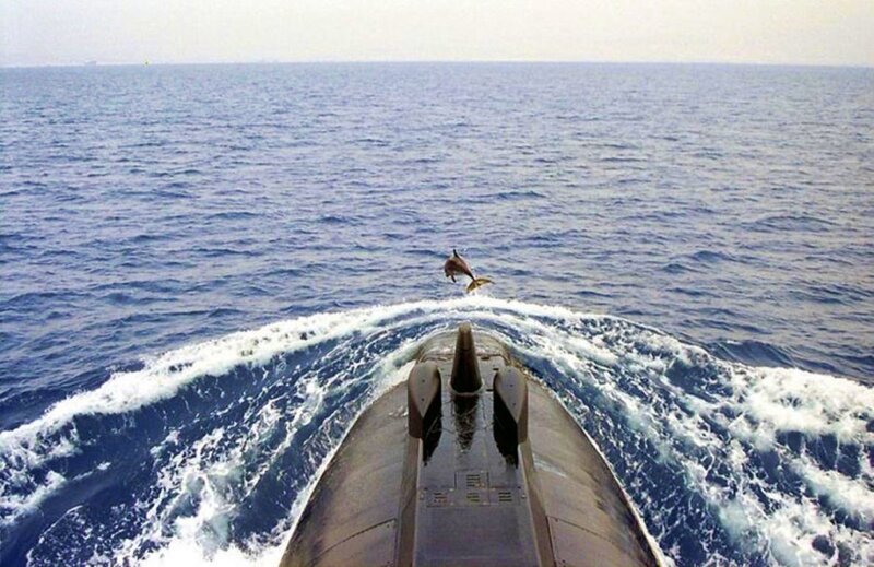 Dolphin jumping near submarine