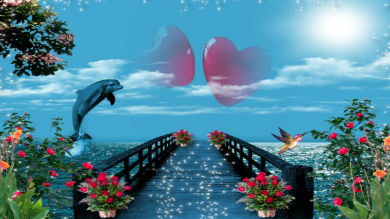 Dolphin Jumping over Bridge