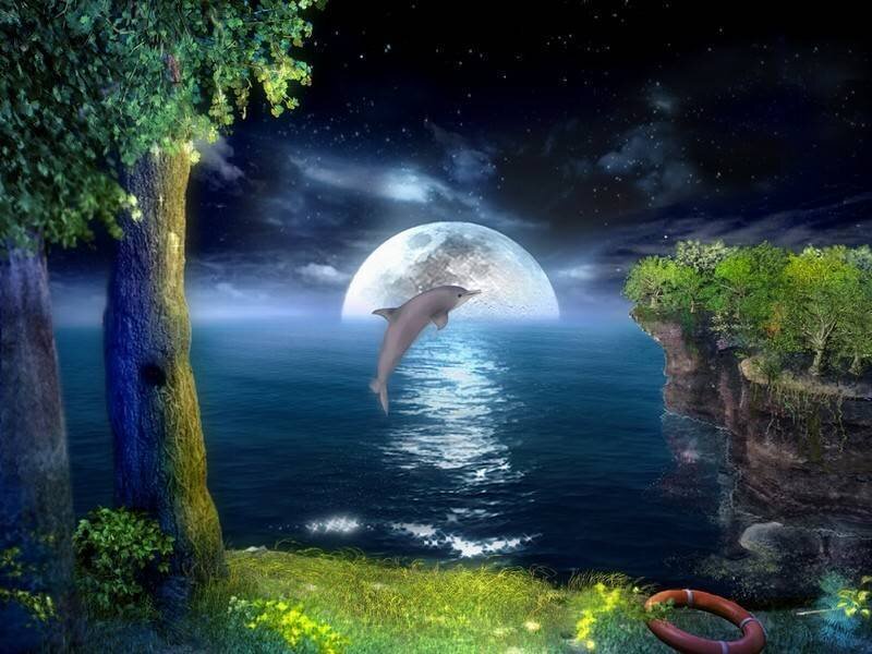 Dolphin leaping at night