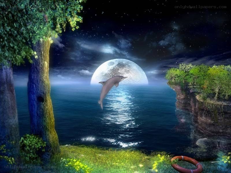 Dolphin leaping at night