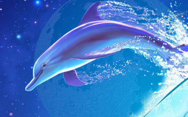 Dolphin Leaping from Water — Blue