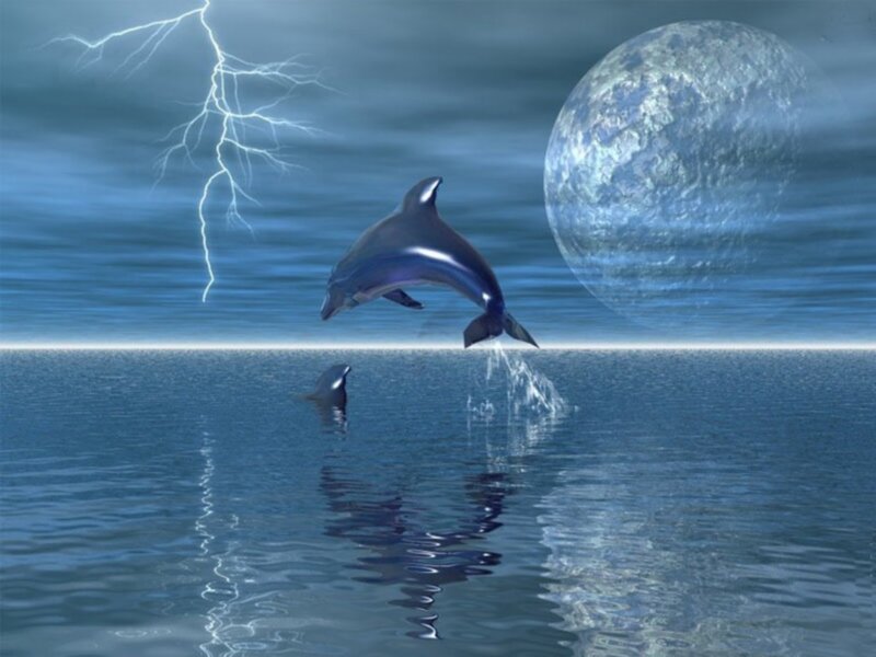 Dolphin leaping in stormy sea