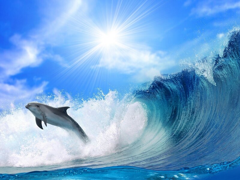 Dolphin Leaping Through Wave — Blue