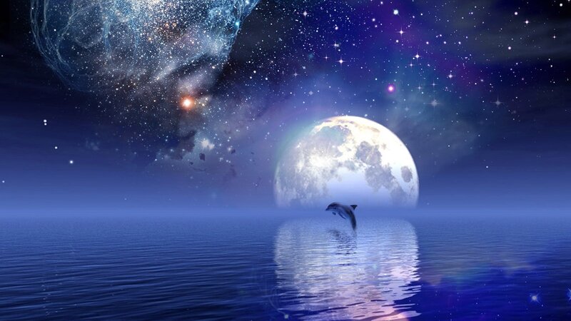 Dolphin leaping under moonlight
