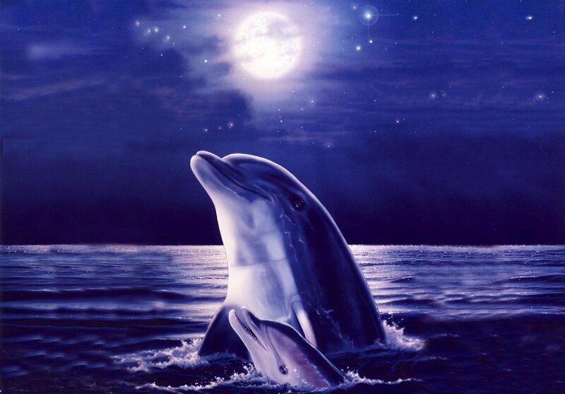 Dolphin Mother and Calf — Blue