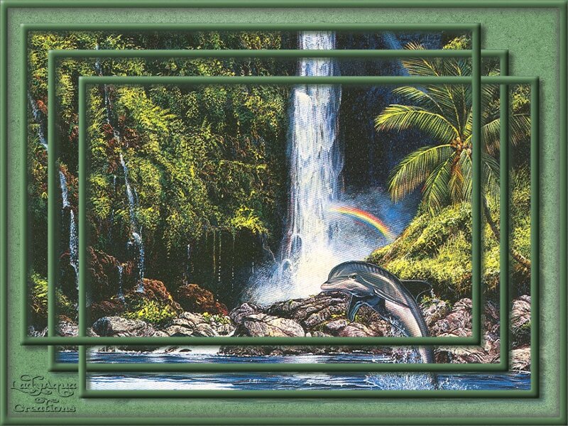 Dolphin Near Waterfall