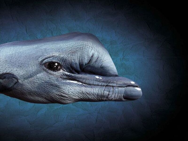 Dolphin Painted on Hand