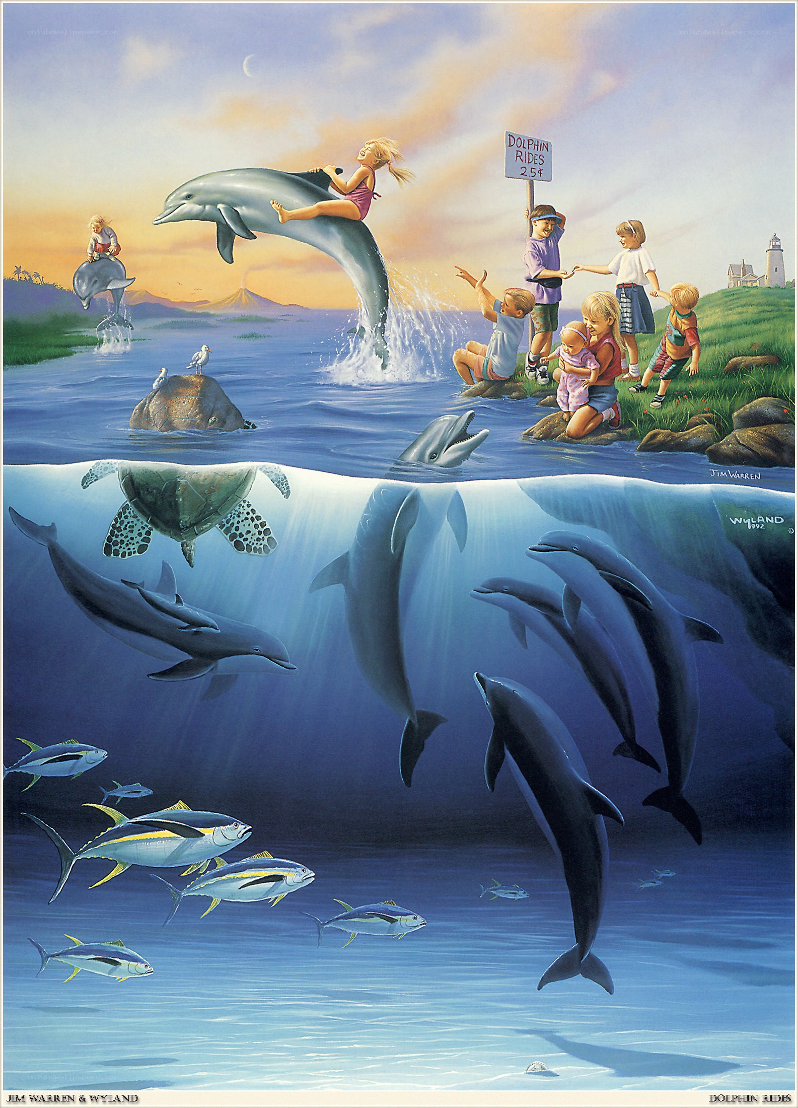 Dolphin Rides at Sunset