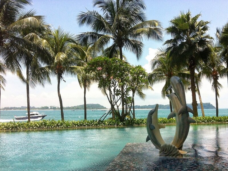 Dolphin Sculpture in Pool