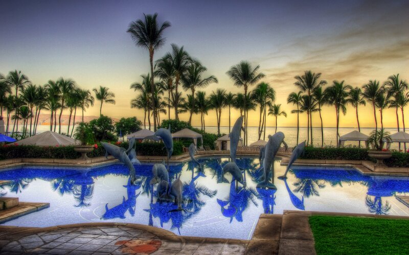 Dolphin Sculptures in Pool