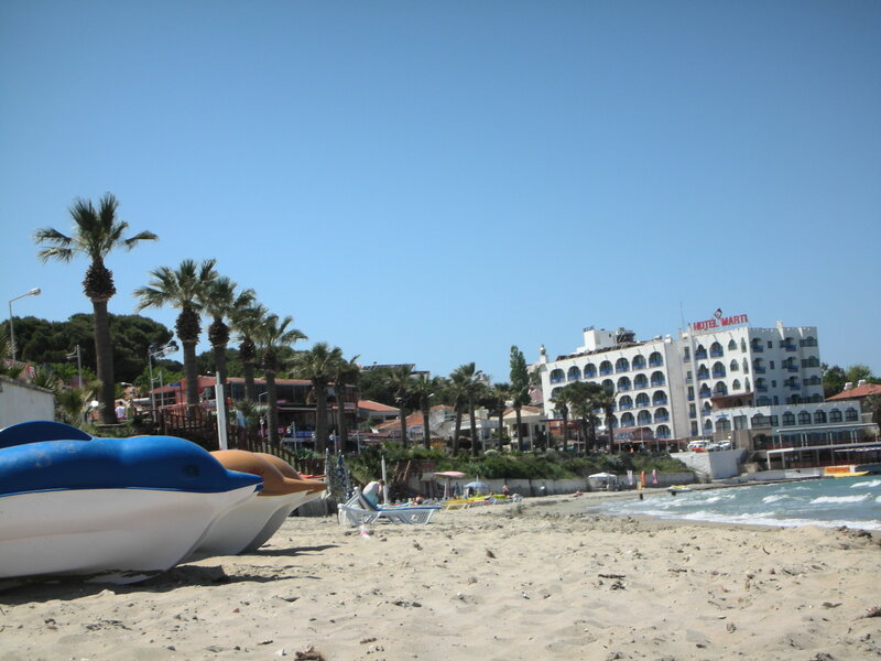 Dolphin-shaped Paddle Boats