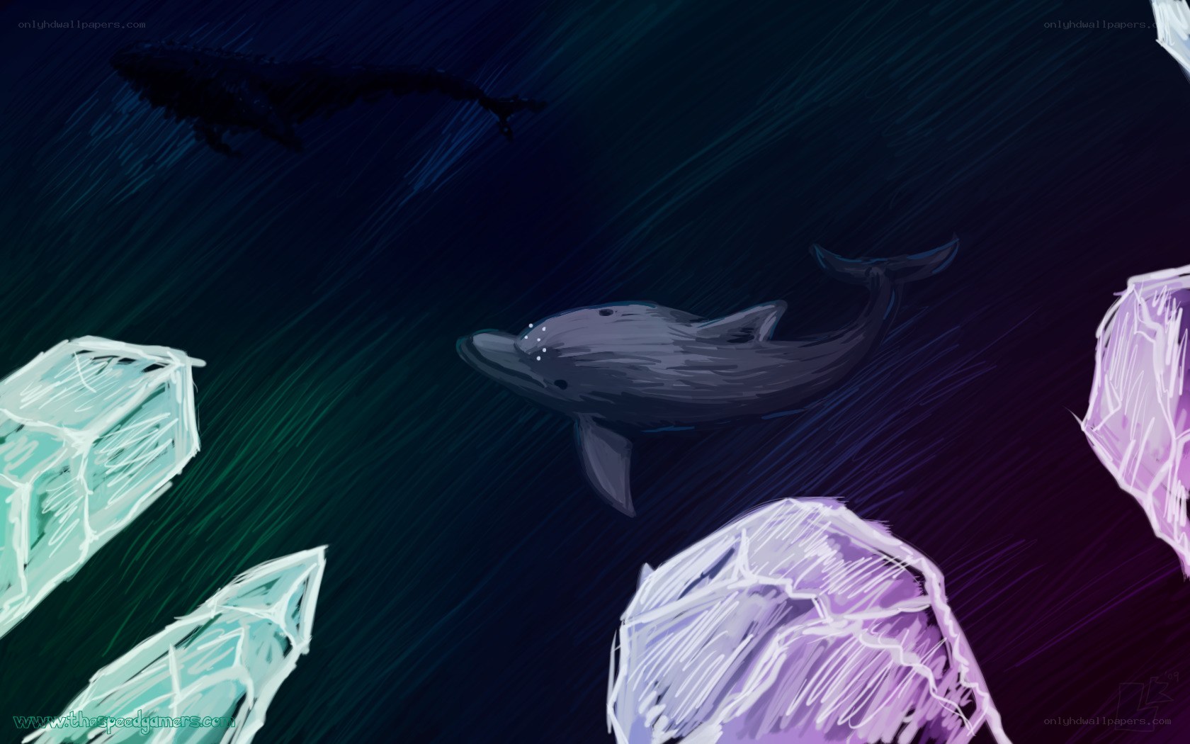 Dolphin swimming in deep sea