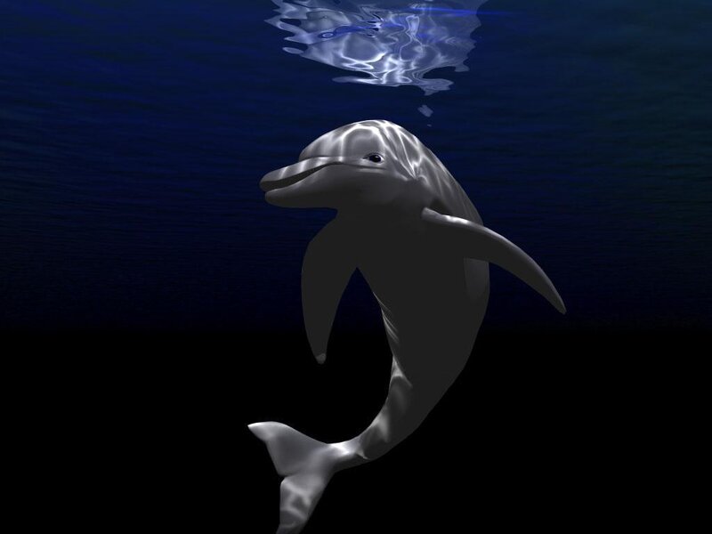 Dolphin Swimming Underwater — Blue, Serene, 3d Render, Surface