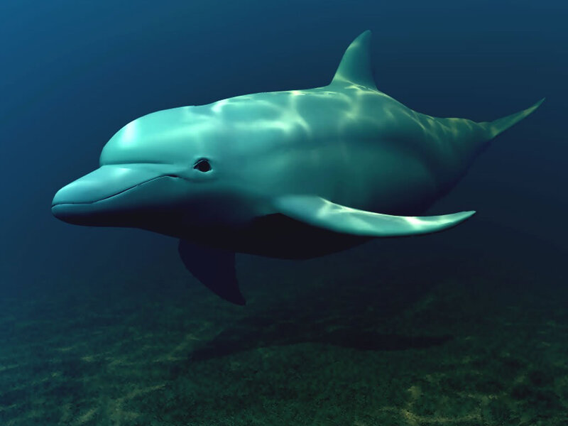Dolphin Swimming Underwater — Blue, Serene, 3d Render