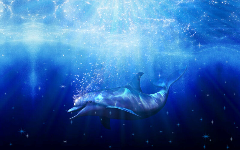 Dolphin Swimming Underwater — Blue, Serene, Digital Art, Bubbles