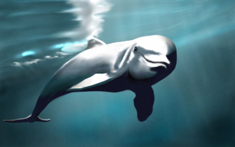 Dolphin Swimming Underwater — Blue, Serene, Digital Art