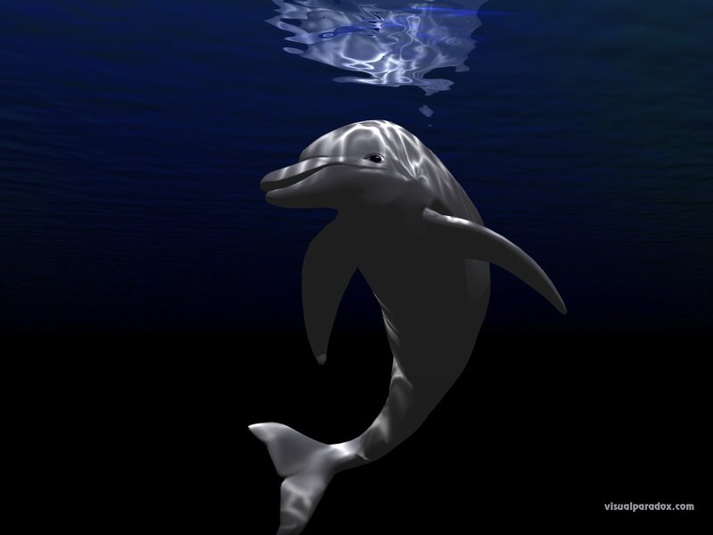 Dolphin Swimming Underwater — Blue, Serene, Night, 3d Render