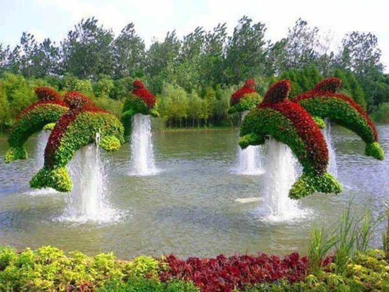 Dolphin Topiaries in Fountain