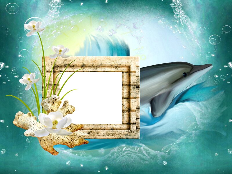 Dolphin Underwater — Teal