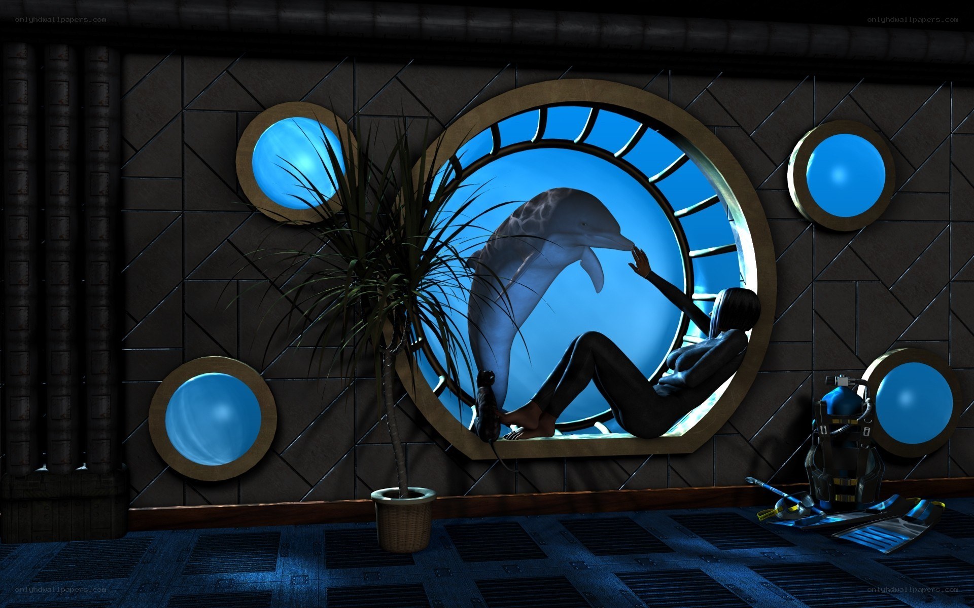 dolphin viewing in underwater room
