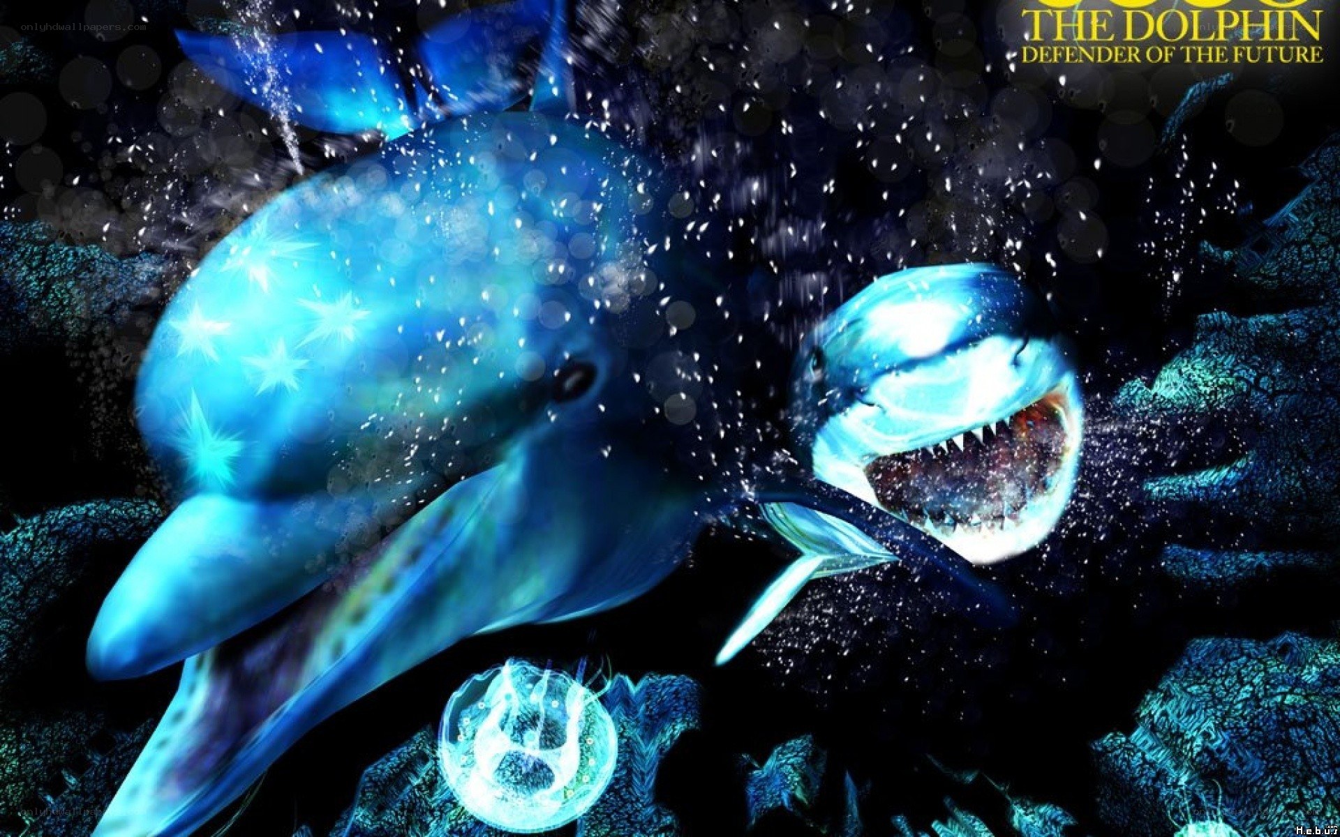 Dolphin vs shark underwater battle
