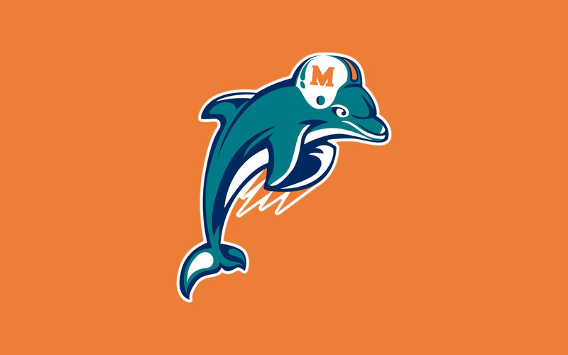 Dolphin Wearing Helmet — Orange