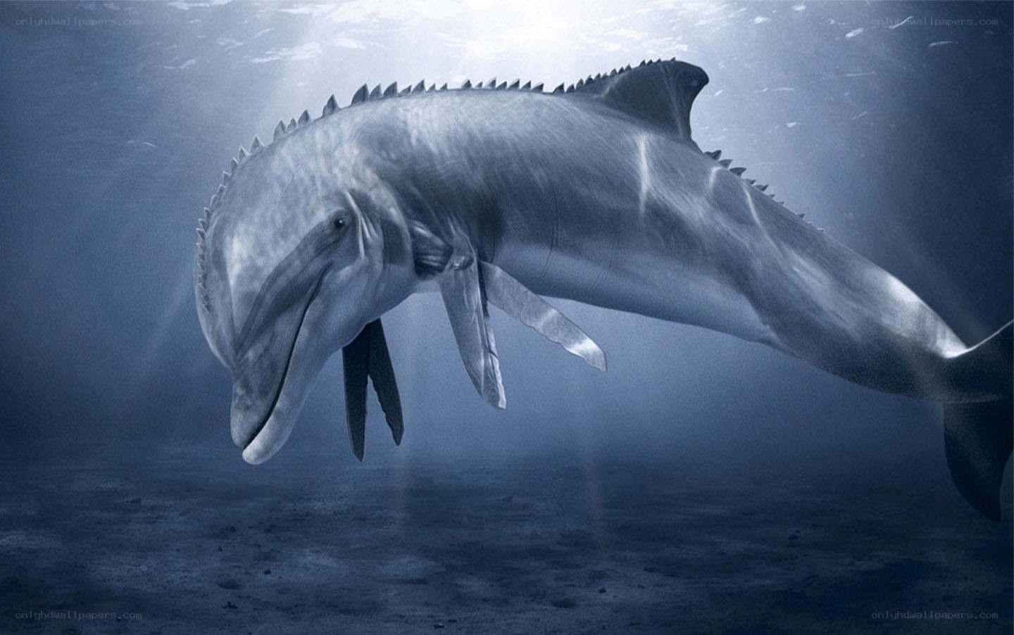 dolphin with dorsal spines