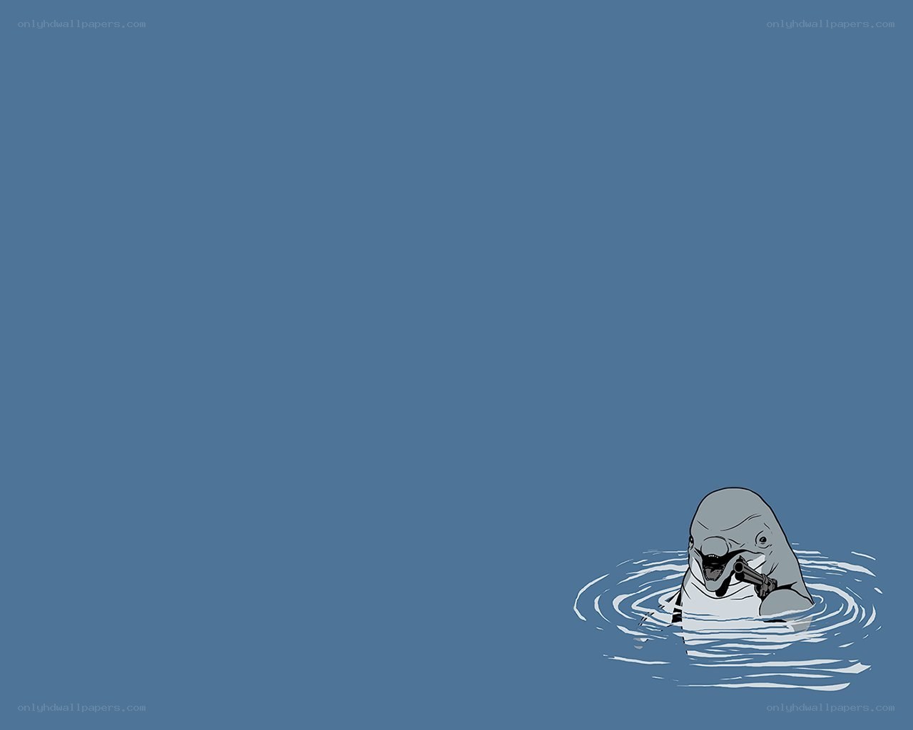 dolphin with gun in water