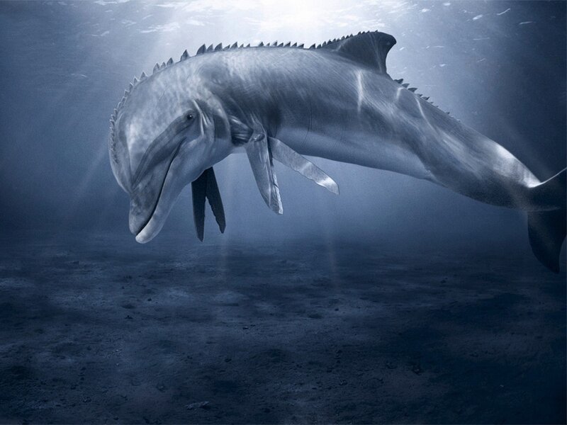 Dolphin with Spikes