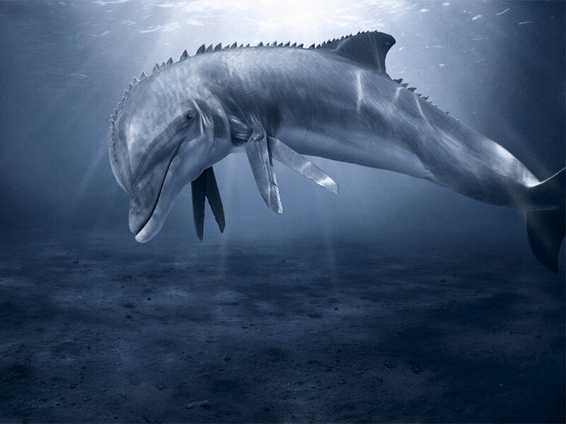 Dolphin with Spines