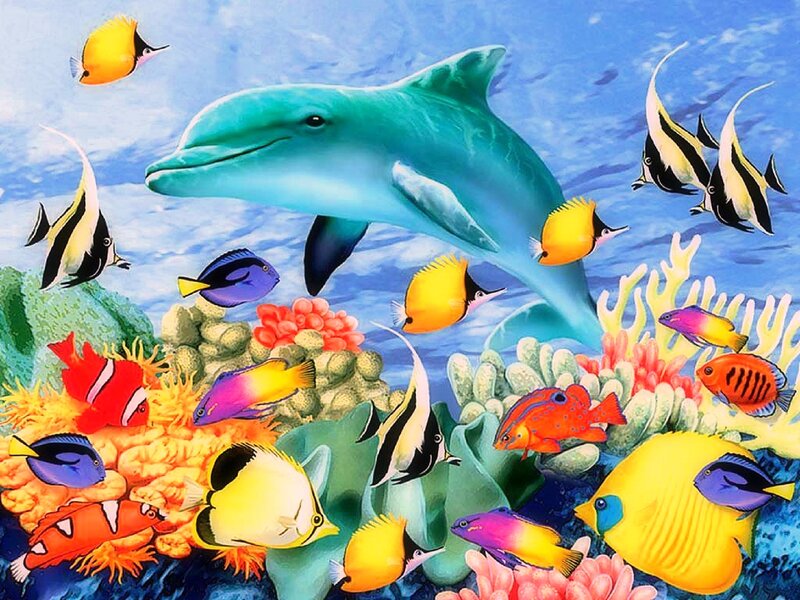 Dolphin with Tropical Fish