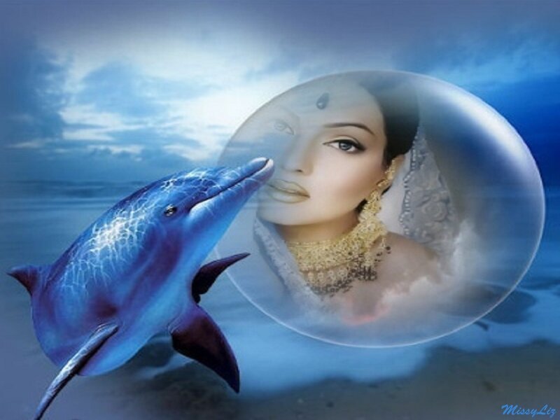 Dolphin with Woman in Bubble